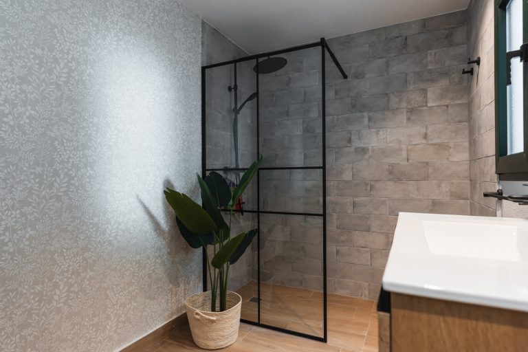 Albayzin_IV_DSC01608