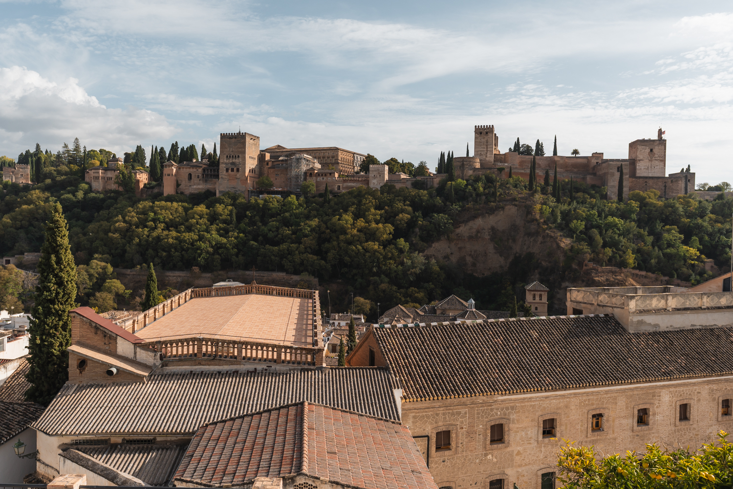 Albayzin_IV_DSC04942